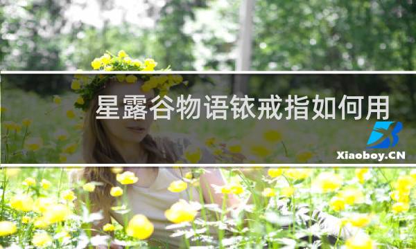 星露谷物语铱戒指如何用