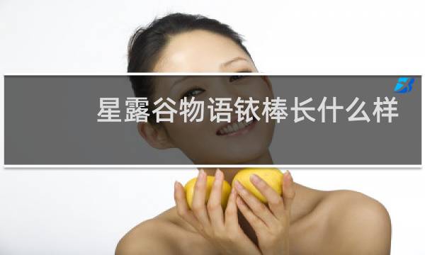 星露谷物语铱棒长什么样