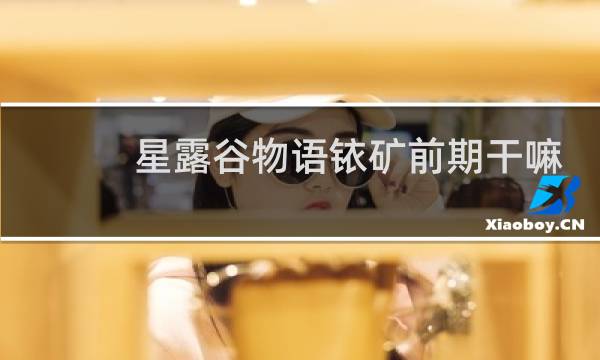 星露谷物语铱矿前期干嘛