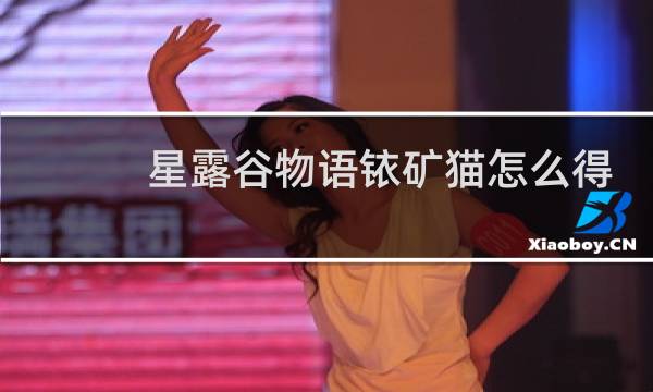 星露谷物语铱矿猫怎么得