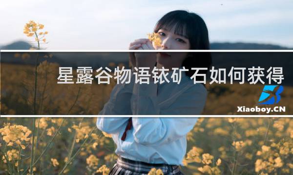 星露谷物语铱矿石如何获得