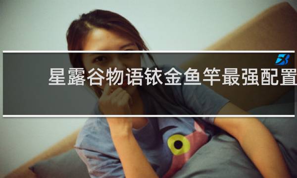 星露谷物语铱金鱼竿最强配置