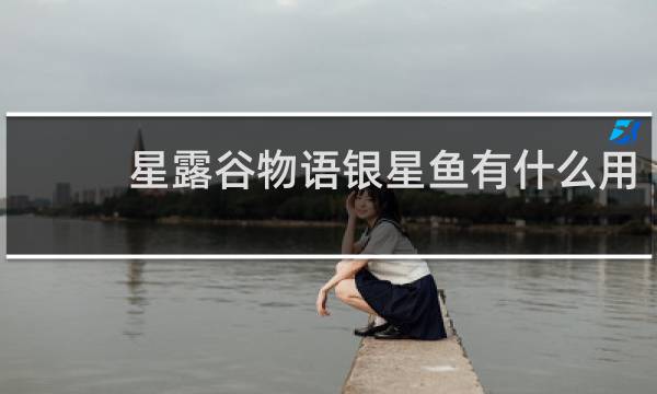 星露谷物语银星鱼有什么用