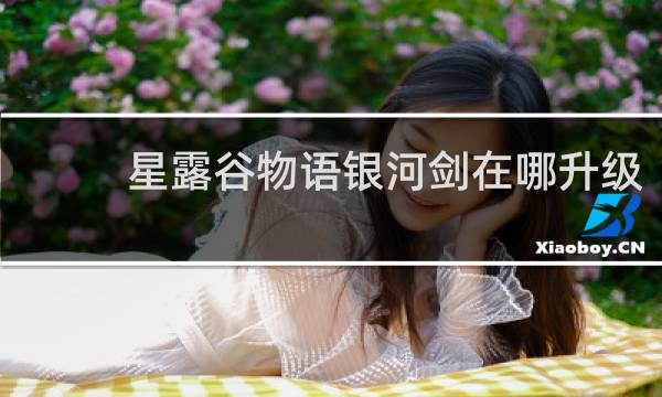 星露谷物语银河剑在哪升级