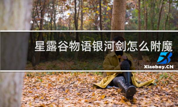 星露谷物语银河剑怎么附魔