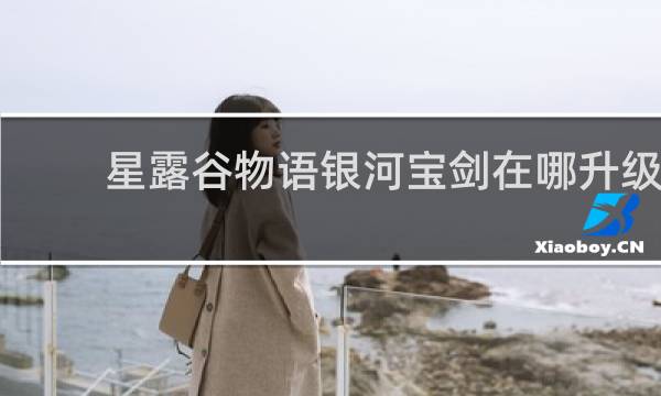 星露谷物语银河宝剑在哪升级