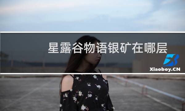 星露谷物语银矿在哪层