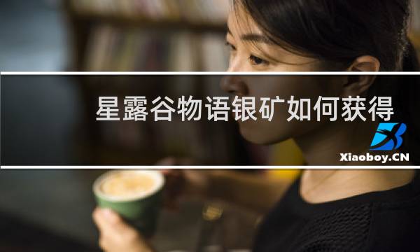 星露谷物语银矿如何获得