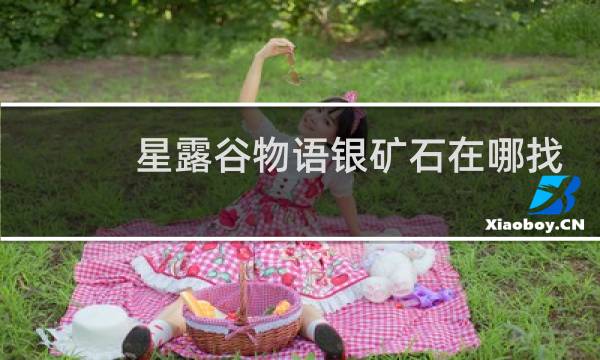 星露谷物语银矿石在哪找