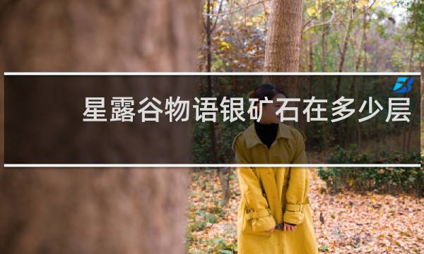 星露谷物语银矿石在多少层