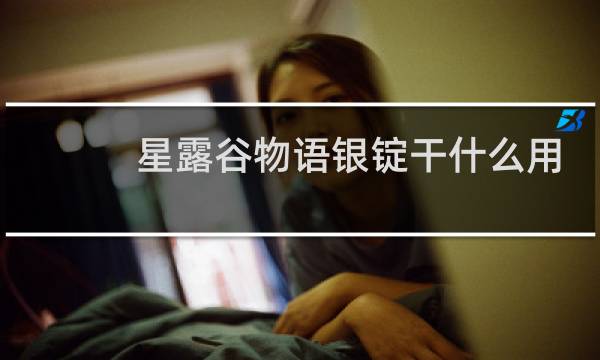 星露谷物语银锭干什么用