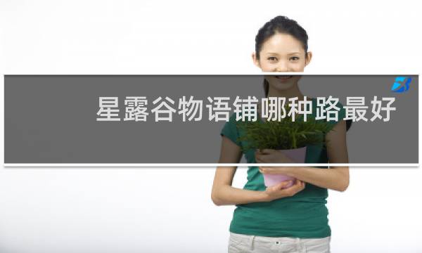 星露谷物语铺哪种路最好