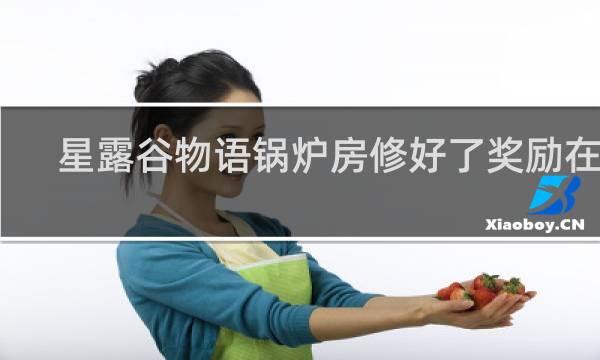 星露谷物语锅炉房修好了奖励在哪