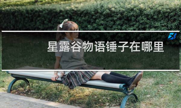 星露谷物语锤子在哪里