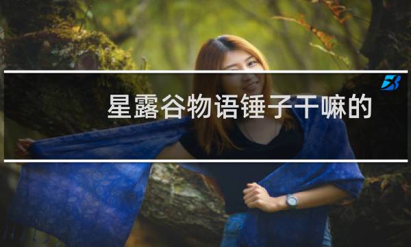 星露谷物语锤子干嘛的