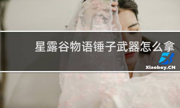 星露谷物语锤子武器怎么拿