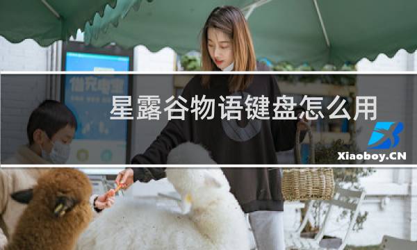 星露谷物语键盘怎么用