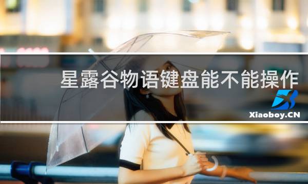星露谷物语键盘能不能操作
