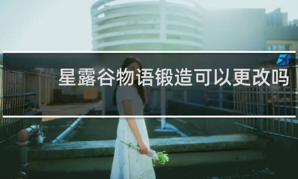 星露谷物语锻造可以更改吗