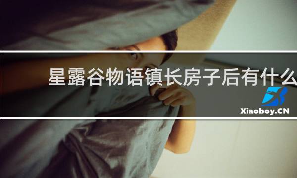 星露谷物语镇长房子后有什么