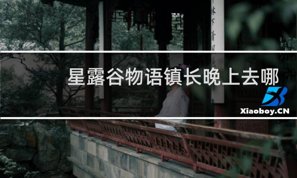 星露谷物语镇长晚上去哪