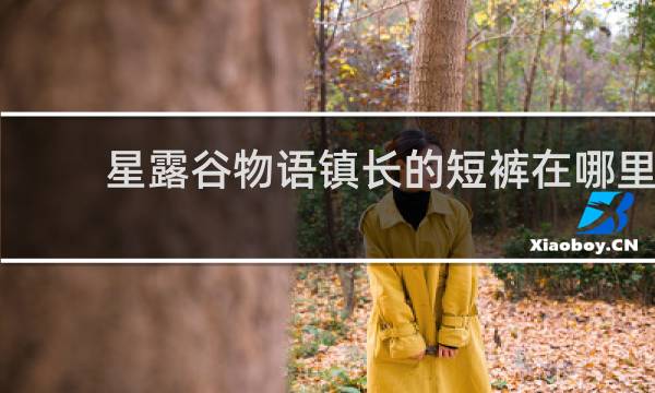 星露谷物语镇长的短裤在哪里