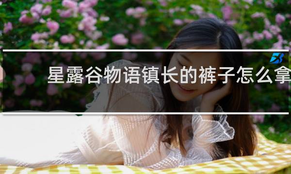 星露谷物语镇长的裤子怎么拿