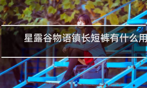 星露谷物语镇长短裤有什么用