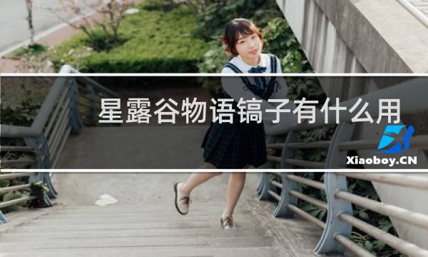 星露谷物语镐子有什么用