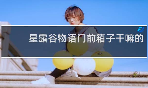 星露谷物语门前箱子干嘛的