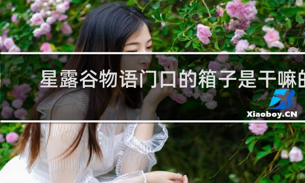 星露谷物语门口的箱子是干嘛的