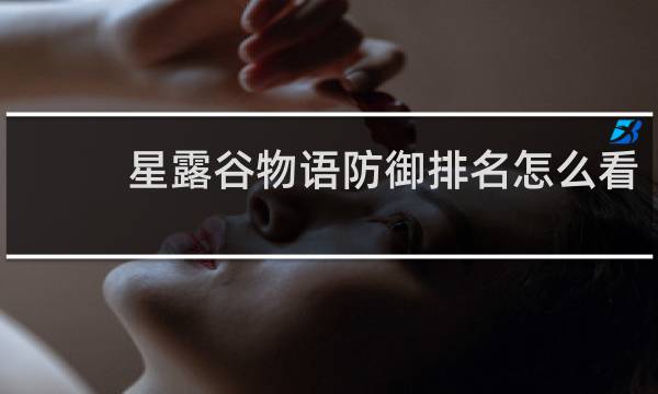 星露谷物语防御排名怎么看