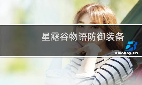 星露谷物语防御装备