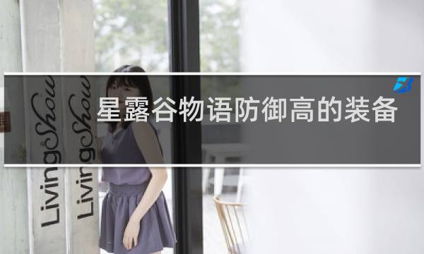 星露谷物语防御高的装备