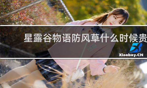 星露谷物语防风草什么时候贵