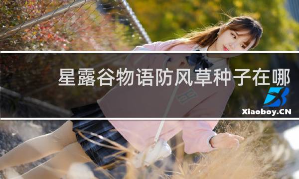 星露谷物语防风草种子在哪