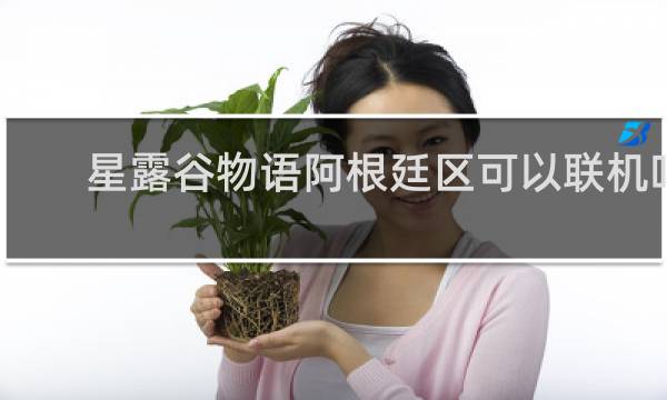 星露谷物语阿根廷区可以联机吗