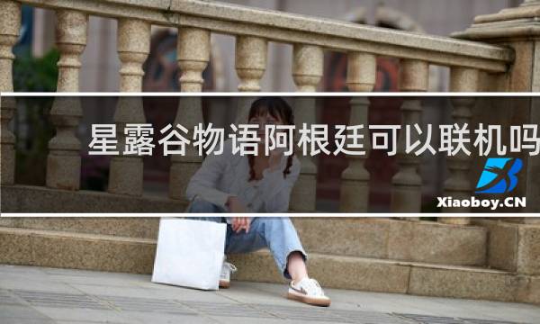 星露谷物语阿根廷可以联机吗