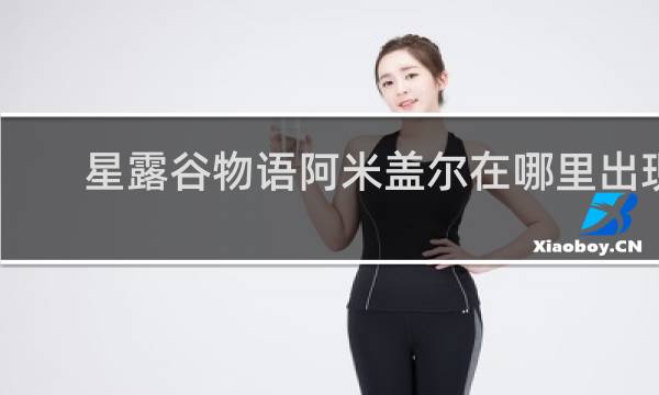 星露谷物语阿米盖尔在哪里出现