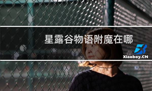 星露谷物语附魔在哪