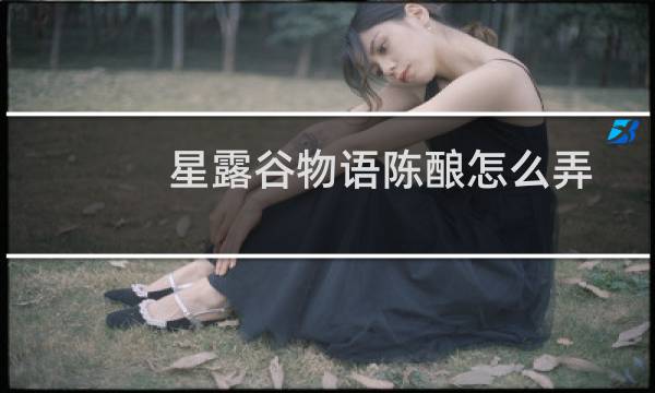 星露谷物语陈酿怎么弄