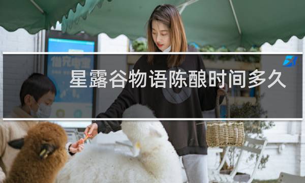 星露谷物语陈酿时间多久