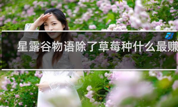 星露谷物语除了草莓种什么最赚钱