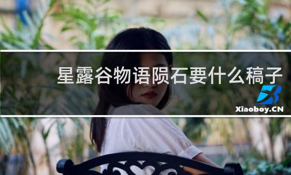 星露谷物语陨石要什么稿子