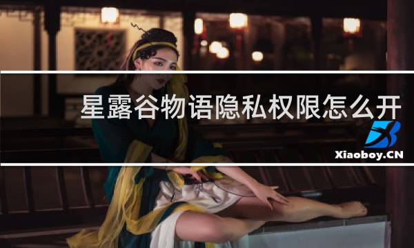星露谷物语隐私权限怎么开