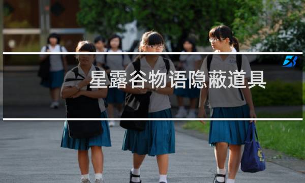 星露谷物语隐蔽道具