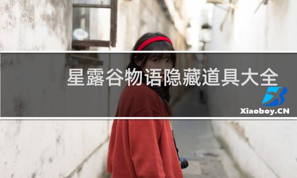星露谷物语隐藏道具大全