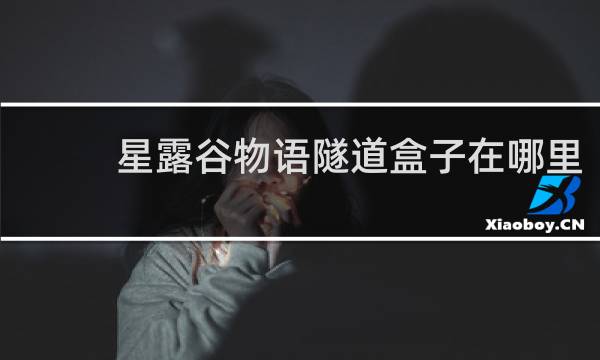 星露谷物语隧道盒子在哪里