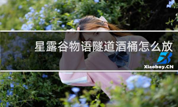 星露谷物语隧道酒桶怎么放