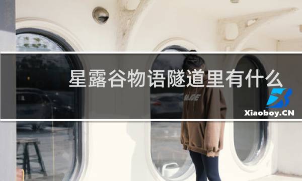 星露谷物语隧道里有什么